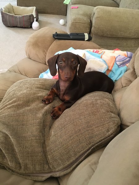 daisy1.jpg