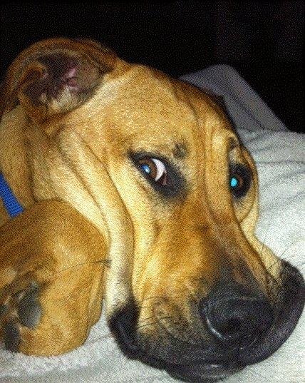 daisyjan2012 1.jpg