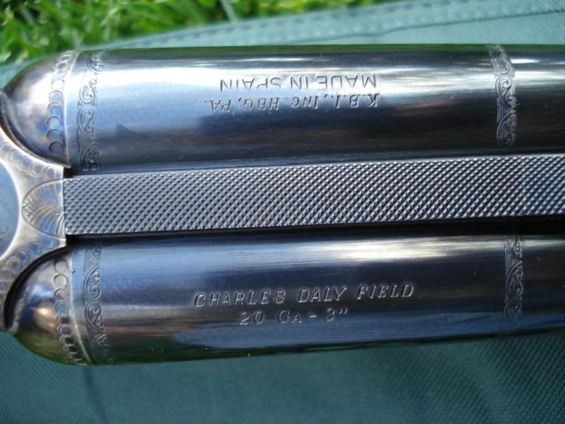 Daly20-2.jpg
