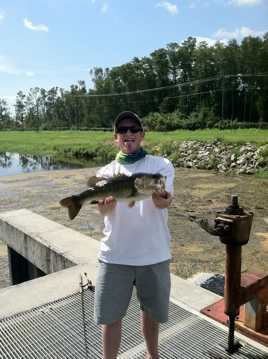 damfish1_b4cb6631a10ba23058a19f10a9cc17c6e15033b0.jpg