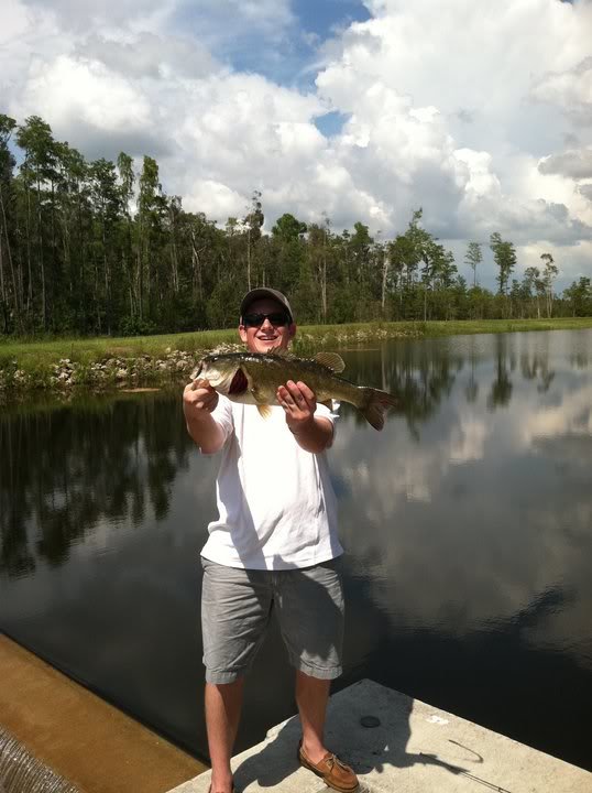 damfish2_029369e694ae462006713861874faf17b945be48.jpg