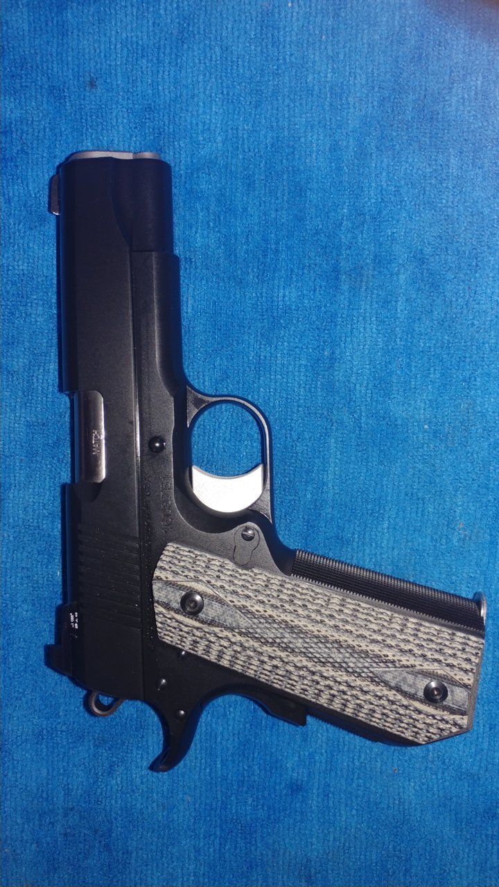 dan wesson.jpg