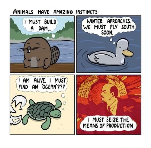 Dank+communist+memes+small+to+be+honest+i+did+this+because_fa9a21_5843694.jpg