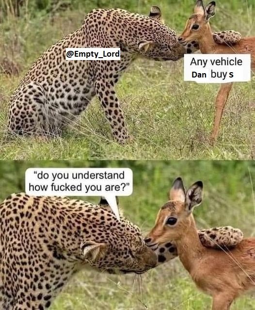 Dans-Cars.jpg