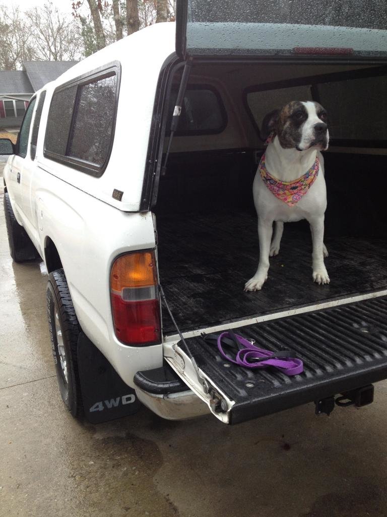 Darcy_zps393c62f3_e0bbfbc350473bcd76015112400fe44050206d52.jpg