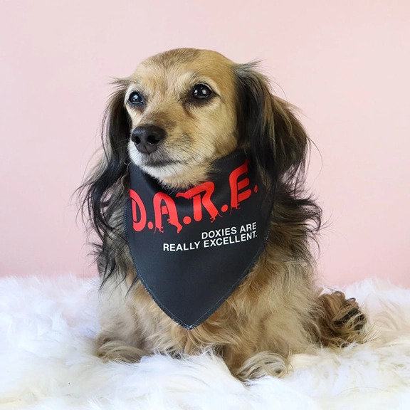 dare-dog-bandana-658695_1400x.jpg.jpg
