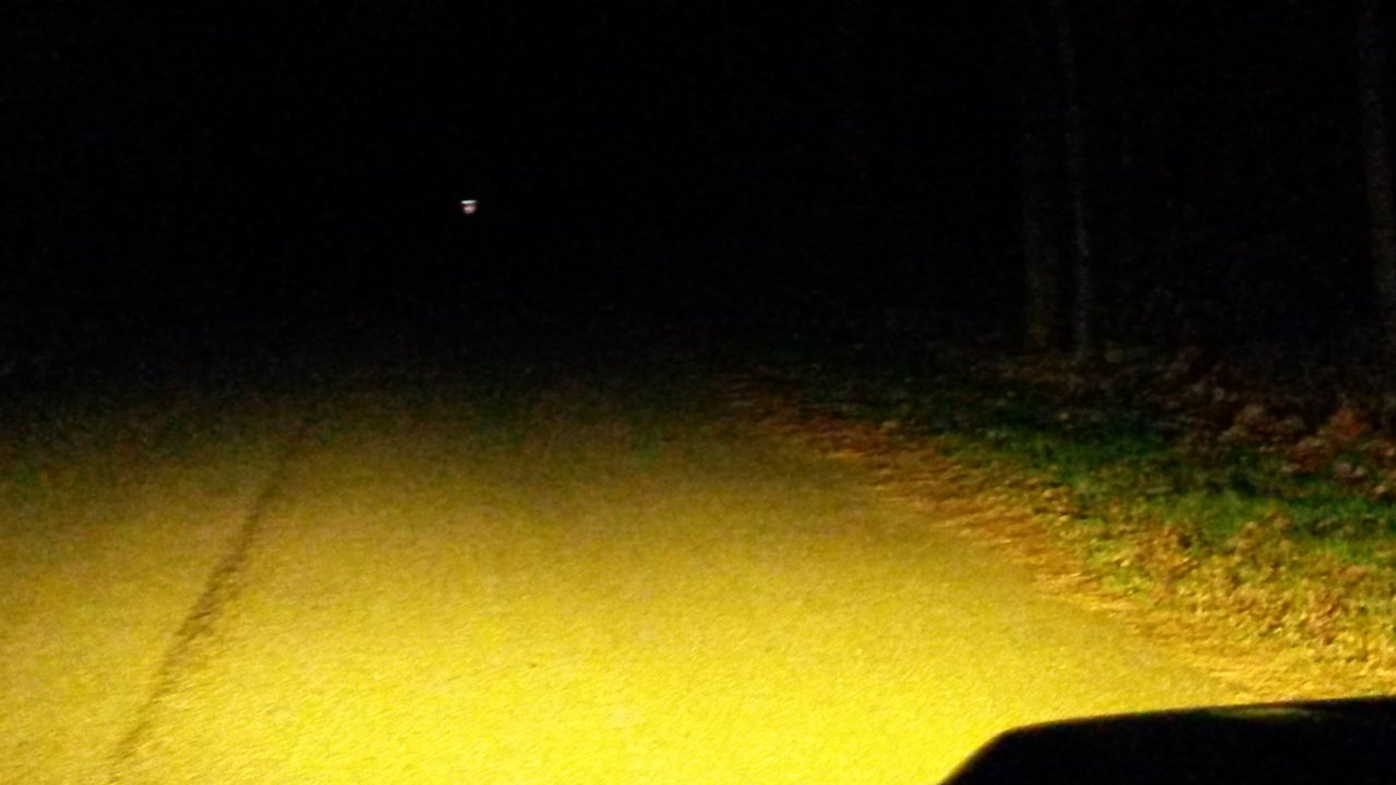 dark road fogs.jpg