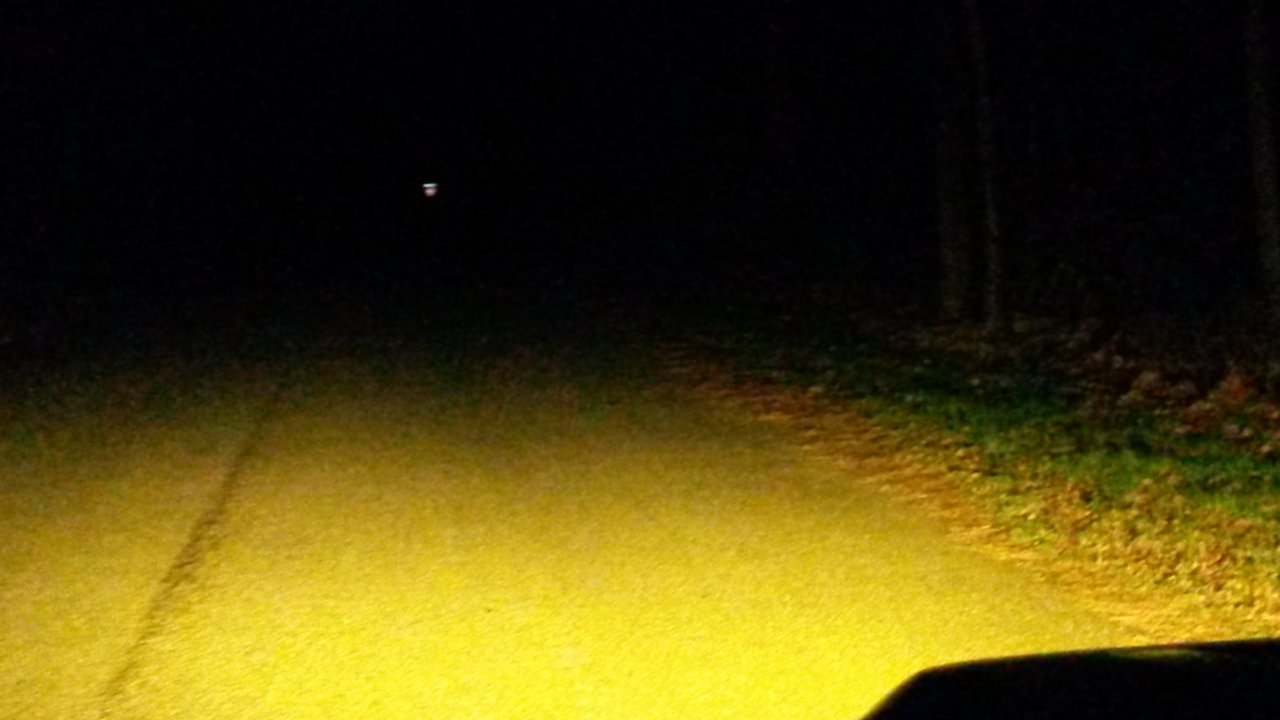 dark road fogs.jpg