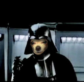 darthlsocoee.jpg