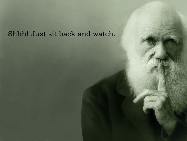 Darwin-1.jpg