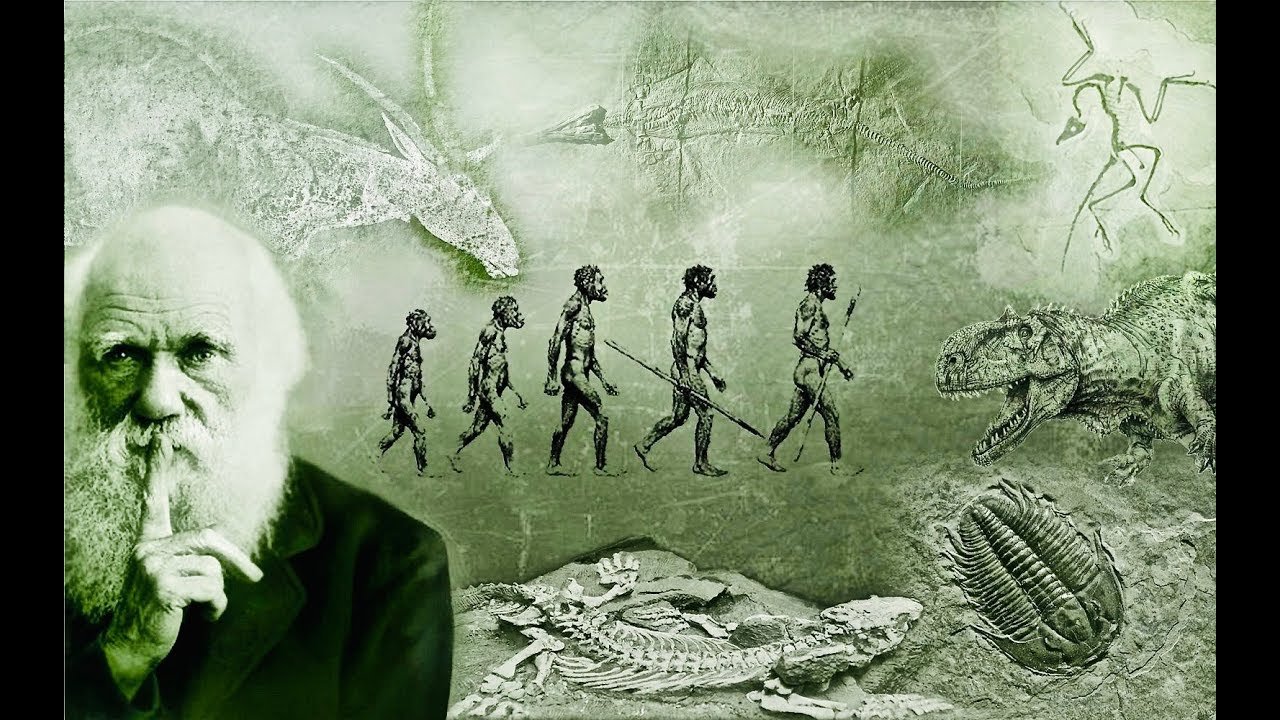 darwin.jpg