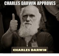 darwin.jpg
