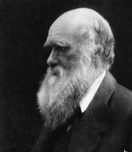 Darwin.jpg