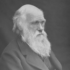 darwin_83a1c49d1fbfb794ecd18145a43e9d7528912785.jpg