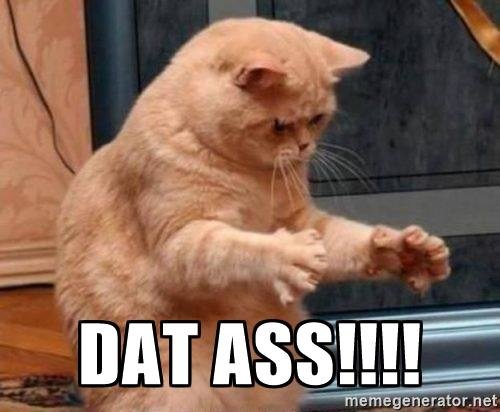 dat-ass-cat-dat-ass.jpg