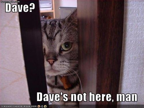 dave-daves-not-here-man.jpg