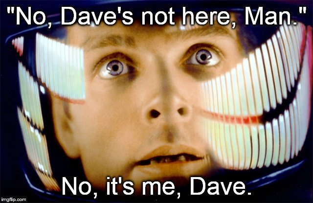 dave15.jpg