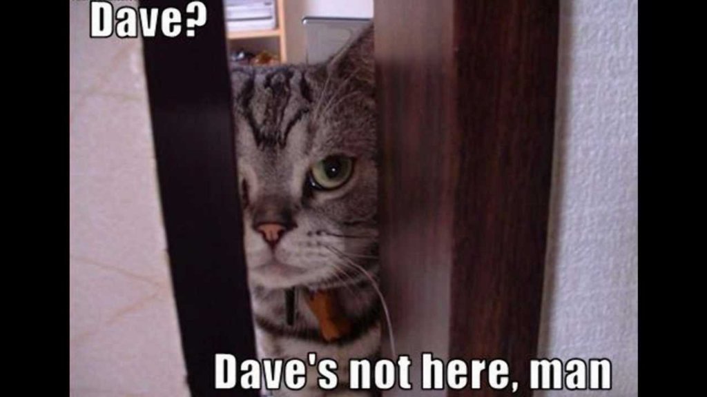 dave4.jpg