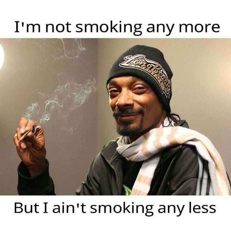 dawg!.jpg