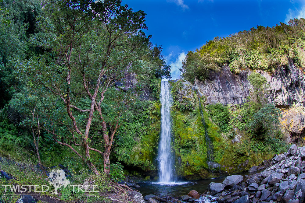 DawsonFalls-22_zps90eb132f_86f4e49ca7e7f25ae3ae9262149872935c71560b.jpg