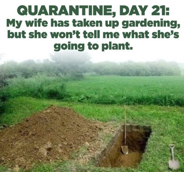 Day 21.jpg