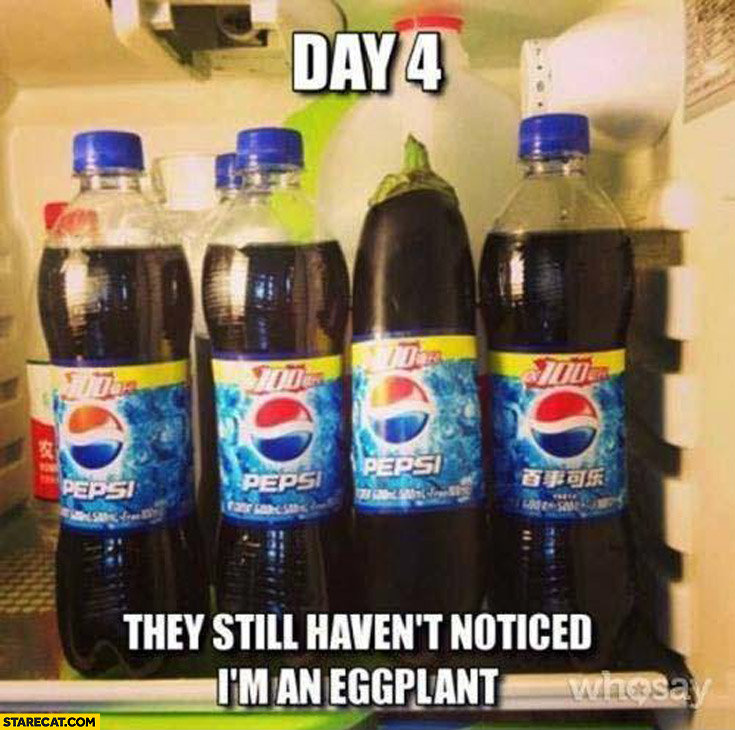 day-4-they-still-havent-noticed-im-an-eggplant-pepsi-bottles.jpg