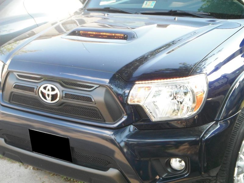 Daytime View of Grille and Light.jpg