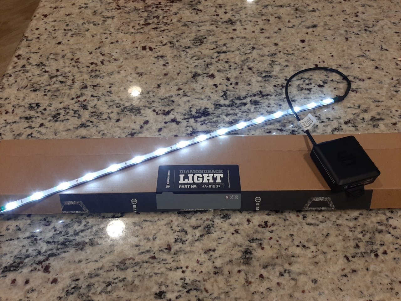 DB light on.jpg