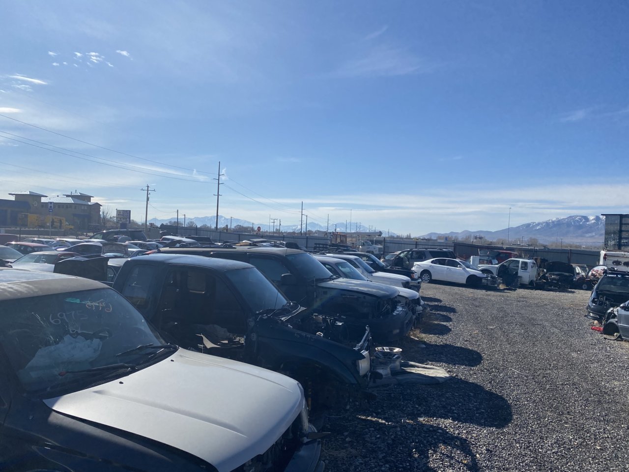 DB3616BC-BF63-437A-95A9-97FC9431E992.jpg