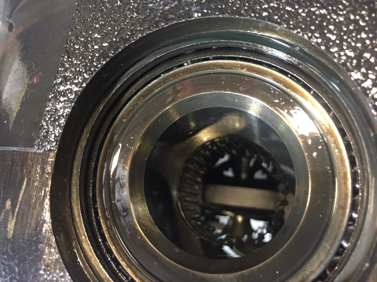 DB7E18B3-1D9E-49FA-AB78-16783E56F758.jpg