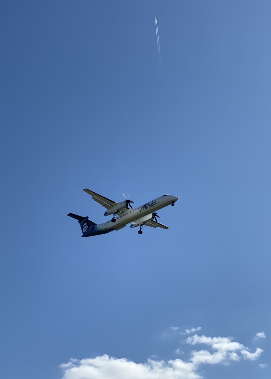 DBD51BB7-FF94-478A-8330-41DAA960E175.jpg