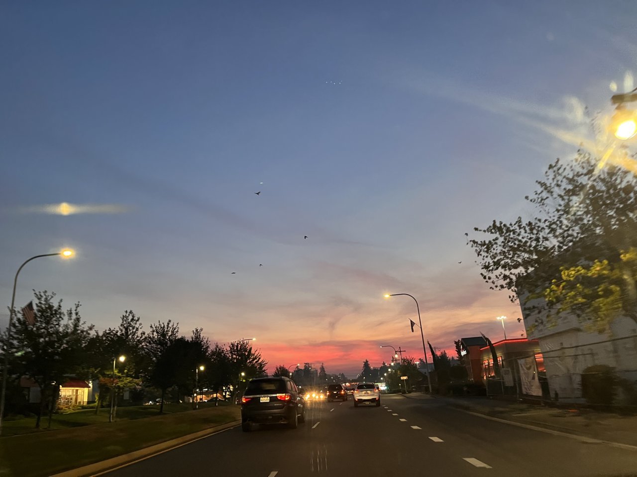 DBEF918C-5501-4224-B401-EB3FE13B7864.jpg