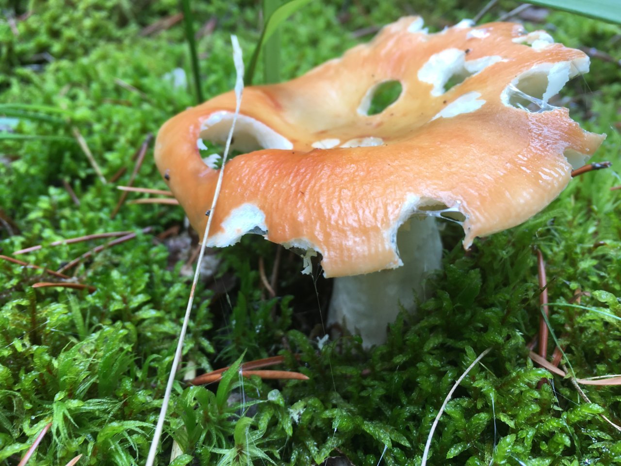 DC01E1E9-A5D8-4425-A95A-26A91B35038F.jpg