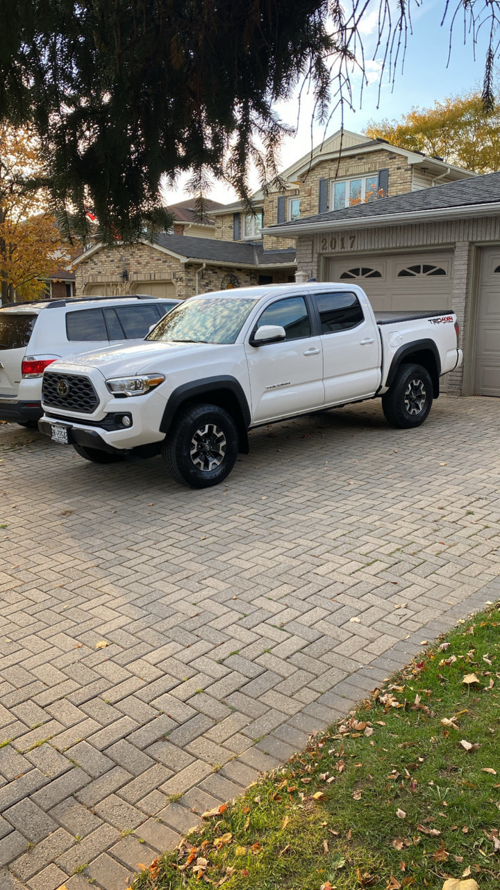 new tacoma price canada