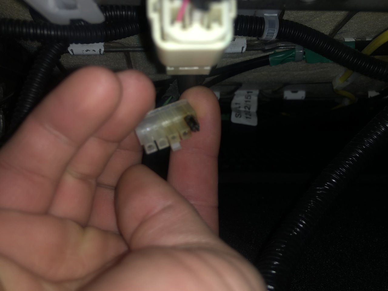 DC9C0734-3E42-4D91-AA10-F697638FDA37.jpg