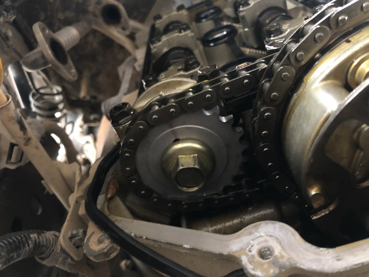 DD12CC45-00CA-4367-A339-6773CFDBEDDD.jpg