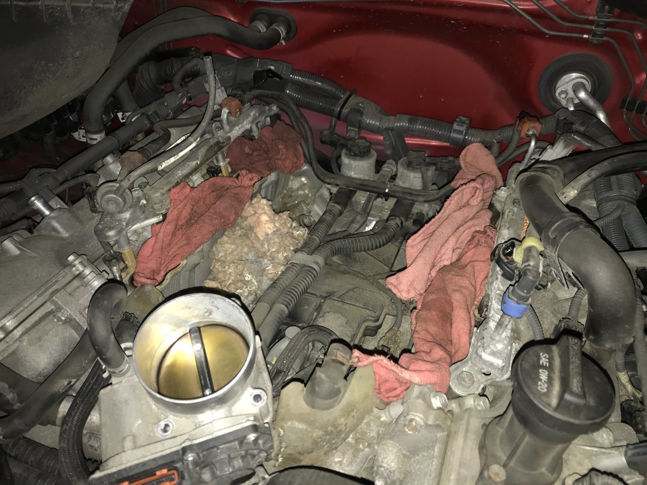 DD3801E0-70FD-42C7-805A-C9DFC4438426.jpg