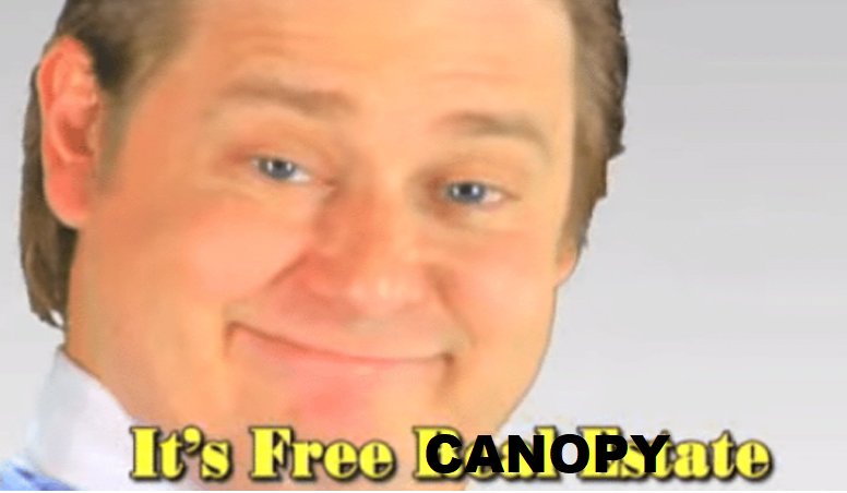 ddd.jpg