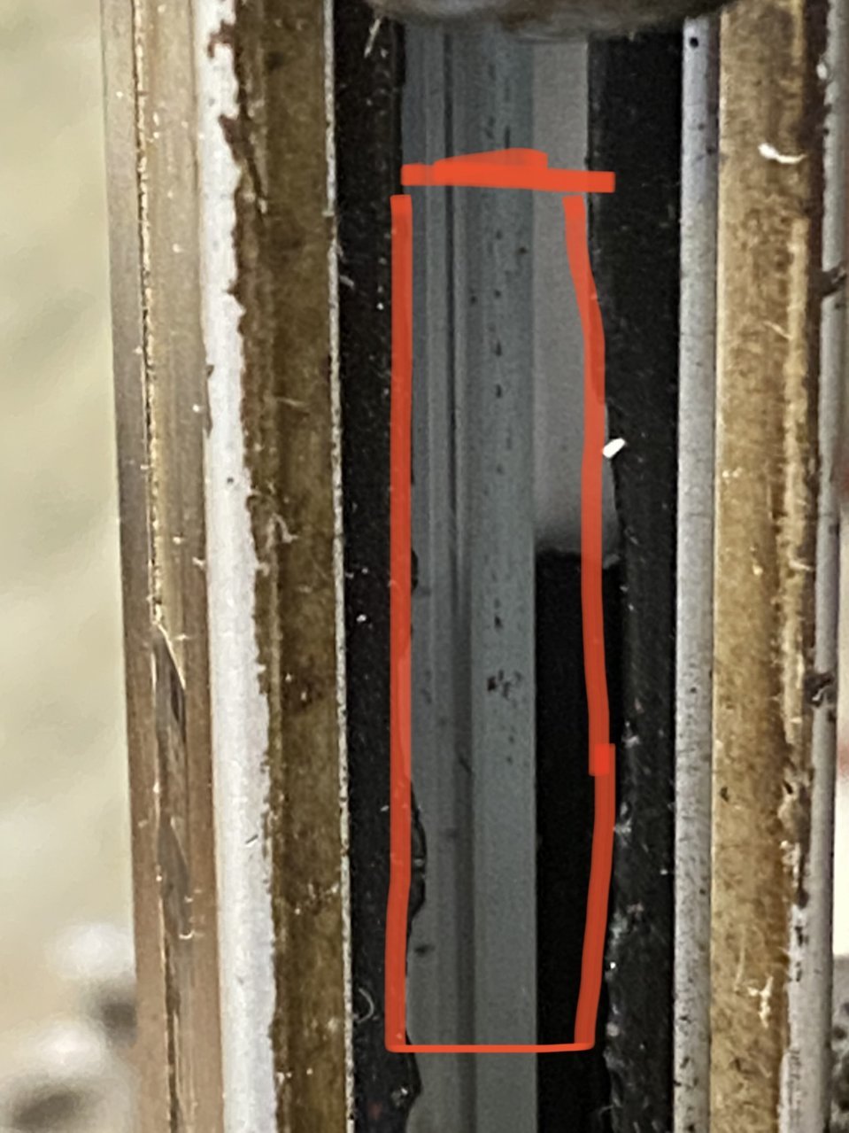 DDF7981E-DE43-4644-88D0-F29B4C5982A1.jpg