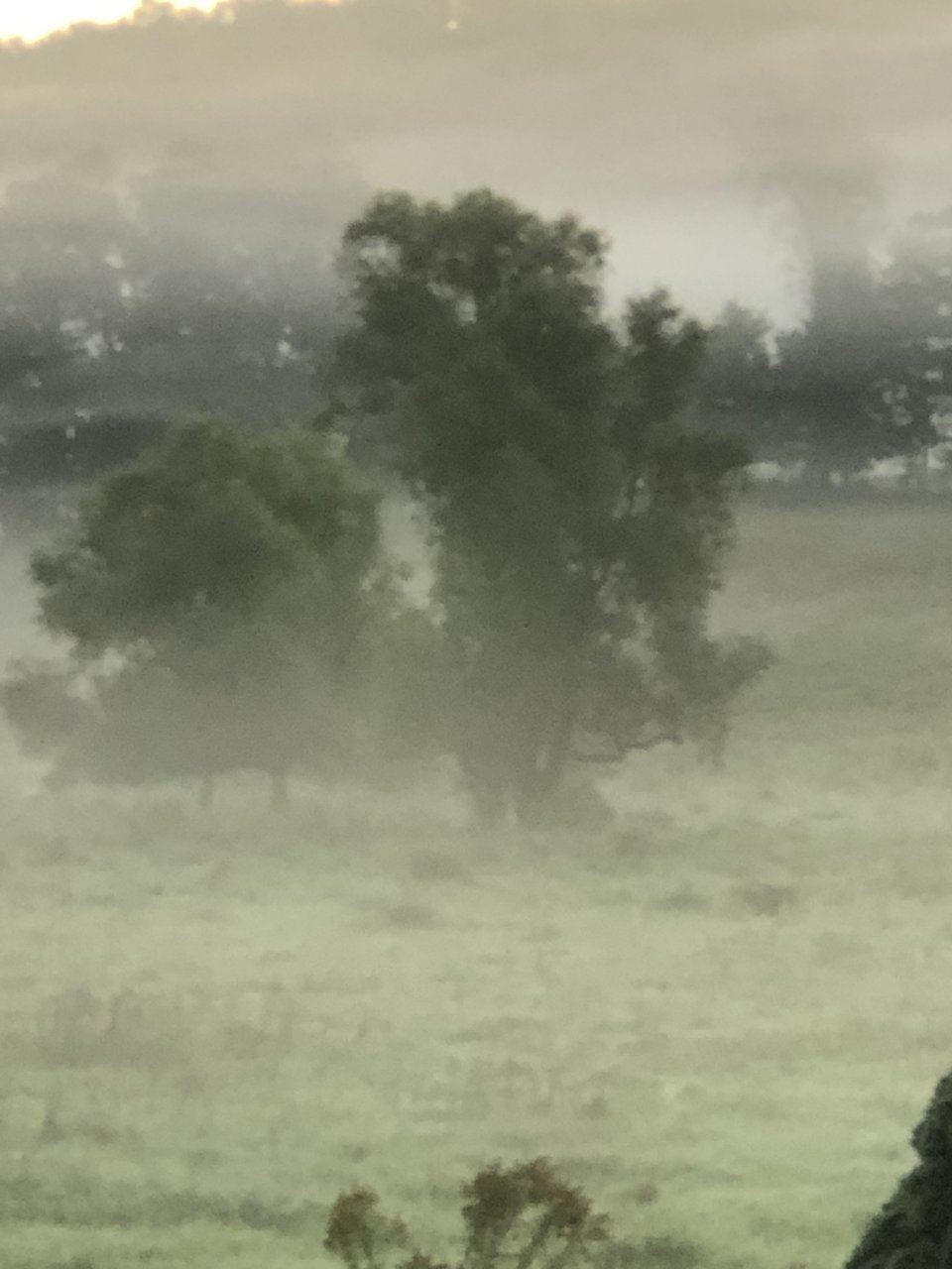DE7A6EC2-9F82-4A02-B7F4-09DCE50B1A5E.jpg