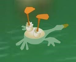 dead duck.jpg