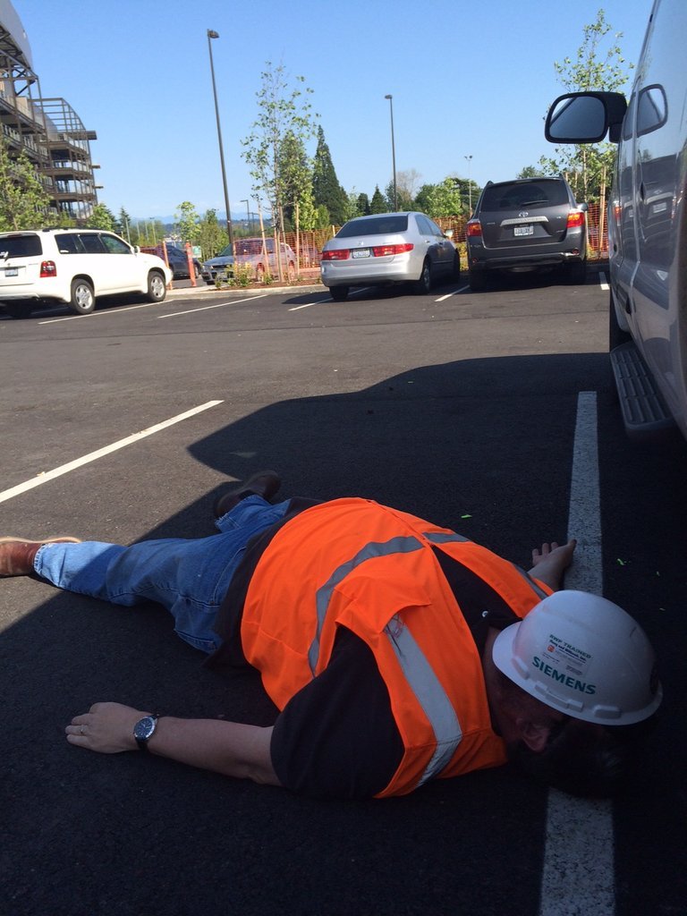 dead in the parking lot.jpg