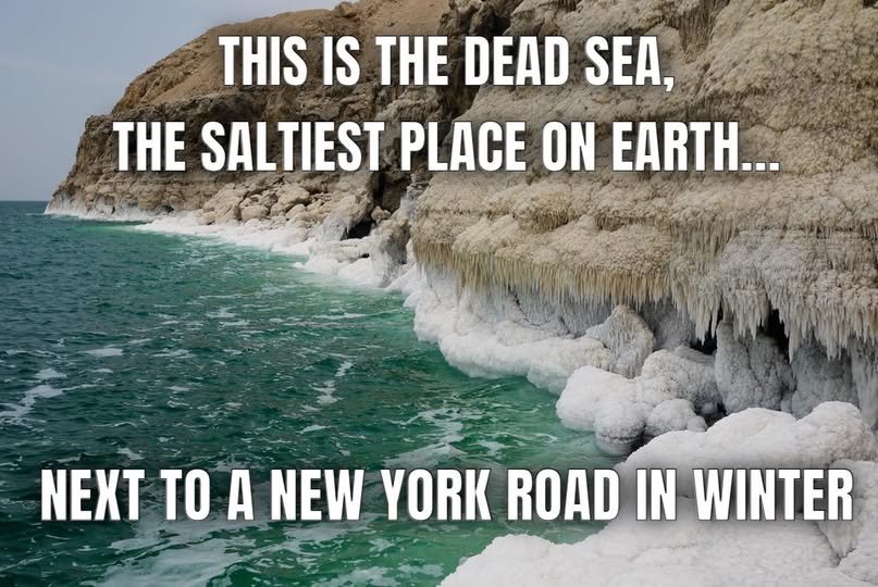 dead.sea.NY..jpg