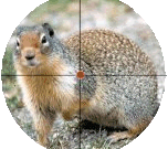deadmeat13_b1e6e8ddc8fdecc8d10505fce7657c2ed3670e49.gif