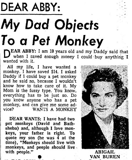 dear-abby-pet-monkey.jpg