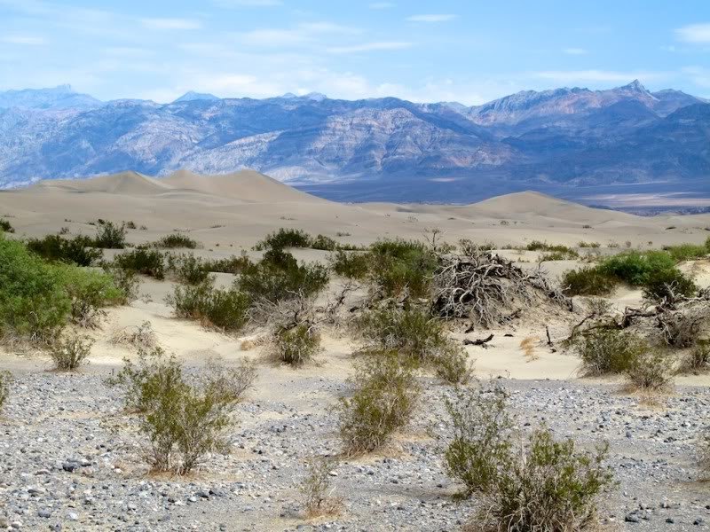 DeathValleyvirgindunes2_b5d5a2a6cc7787d400012f89dc2929f33446f355.jpg