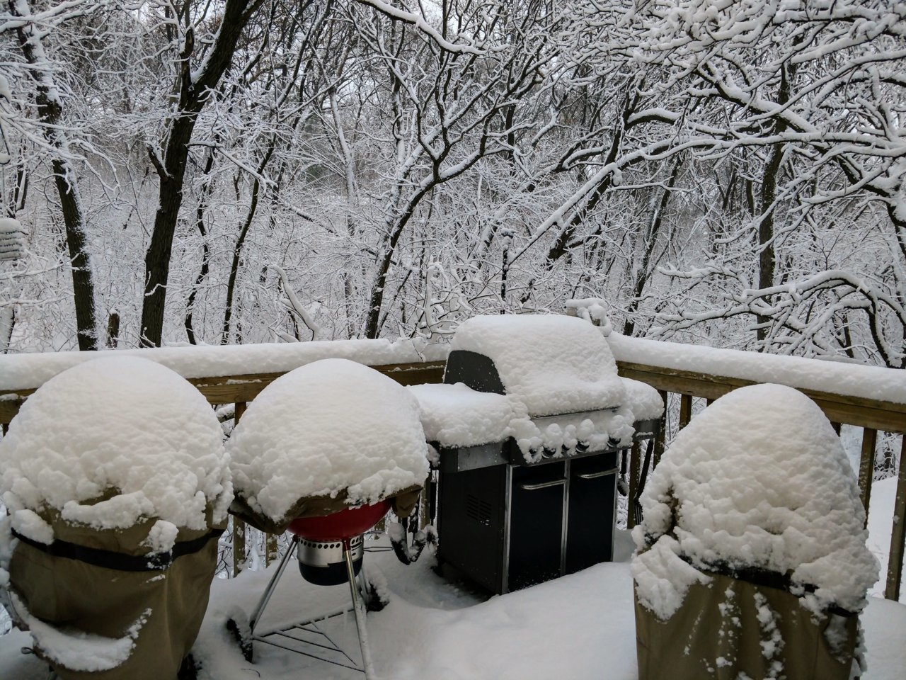 dec 2 snow.jpg
