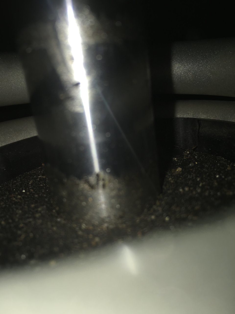 DEC69AEF-C569-48FF-BA23-9BF57FD34125.jpg