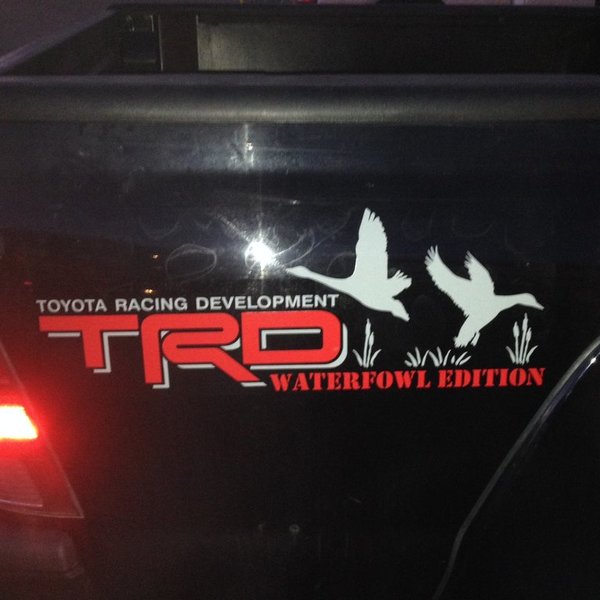 Decal pic.jpg
