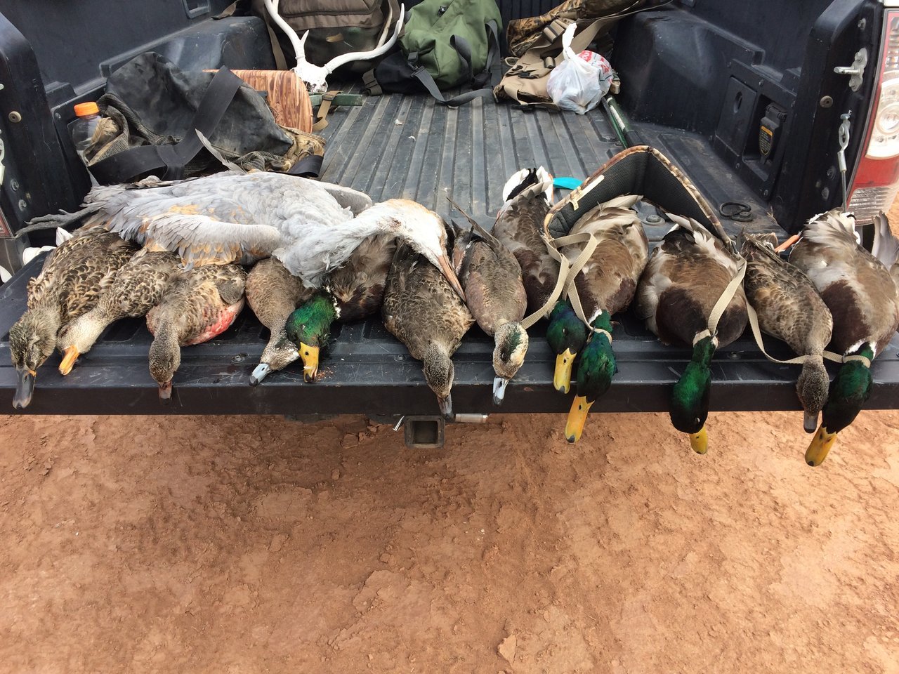 DECEMBER 7TH 2017 DUCK HUNT.jpg
